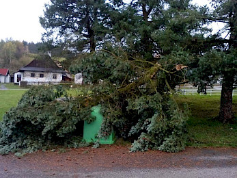 Strom v obci Daňkovice, který se vlivem silného větru zlomil a spadl na kontejnery.